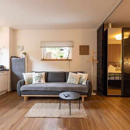 Ideal Fuer Kurze Aufenthalte - Gemuetliches 1-Zimmer-Apartment Адельсдорф Экстерьер фото